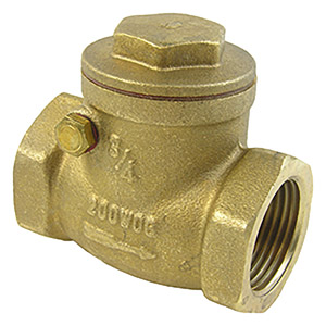 (image for) 3/4 SWING CHECK VALVE