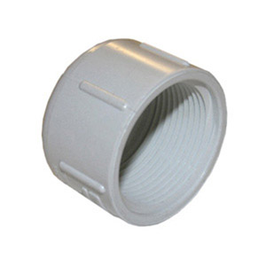 (image for) 1 1/4" PVC FIP CAP