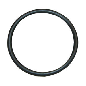(image for) #93 1-3/4X 1 X15/16 ORING (2PC