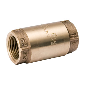 (image for) 2" SPRING LOAD CHECK VALVE