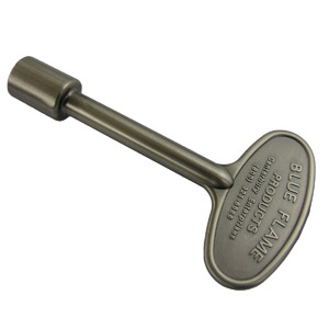 (image for) ANT PEWTER LL KEY